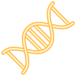 dna