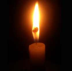 in memoriam