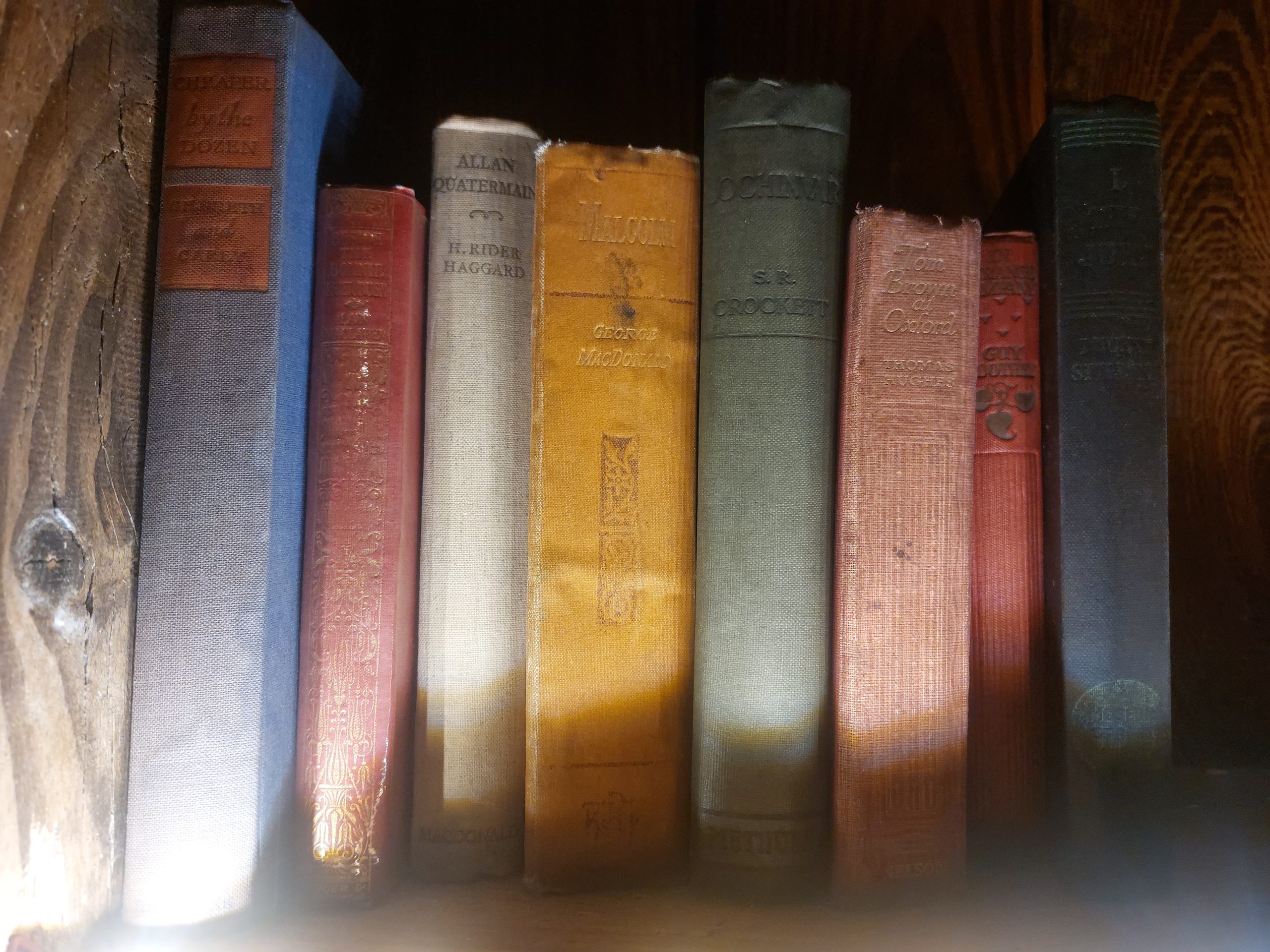 boekenplank met het boek