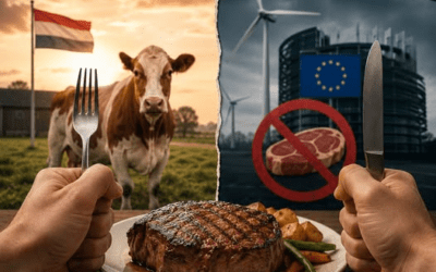 Links heeft zelfs ons bord tot politiek slagveld gemaakt